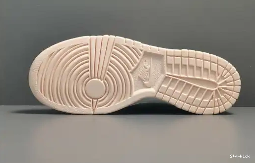 LOW NIKE ＂Orange Pearl＂DD1503-102 DUNK 0611